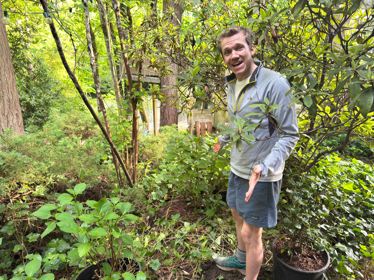 Planting Hydrangeas - Gardening Course